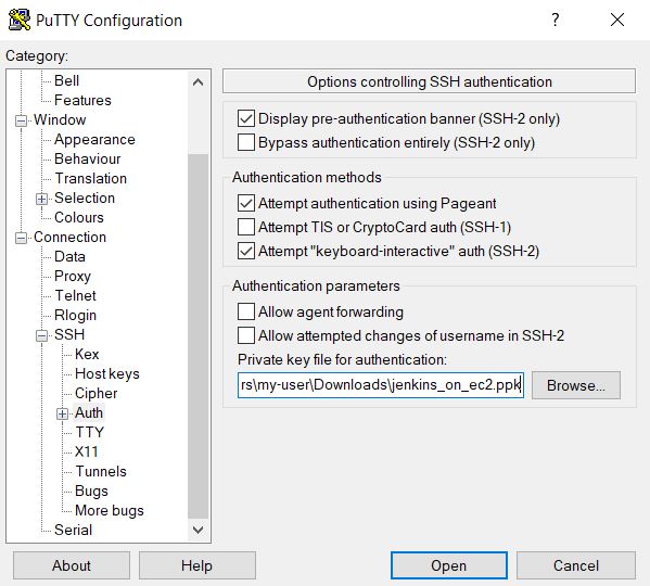 Selecting and opening a new PuTTY session