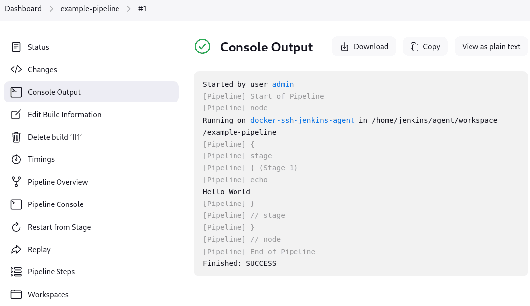 <strong>Console Output</strong> for the Pipeline